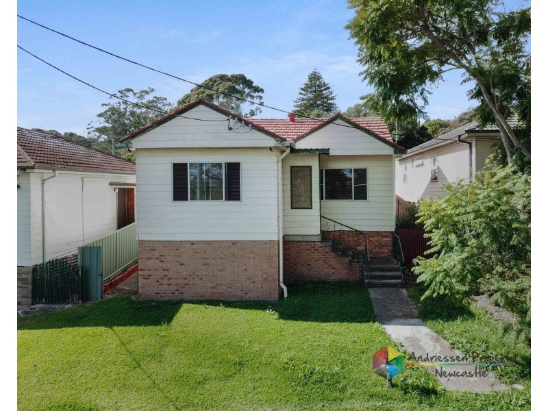 4 Roath Street, Cardiff NSW 2285