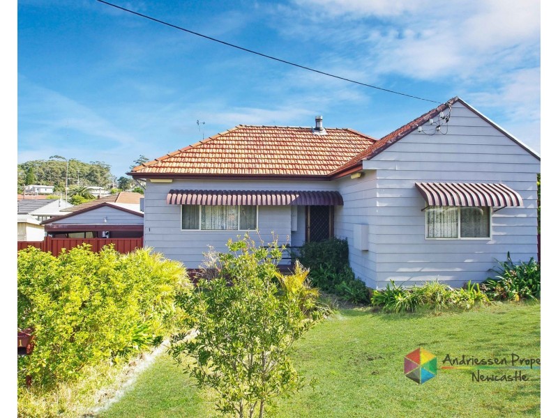 1 Helen Street, Mount Hutton NSW 2290