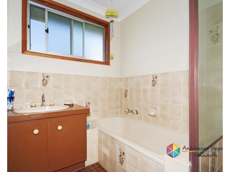 19a Irrawang Street, Wallsend NSW 2287