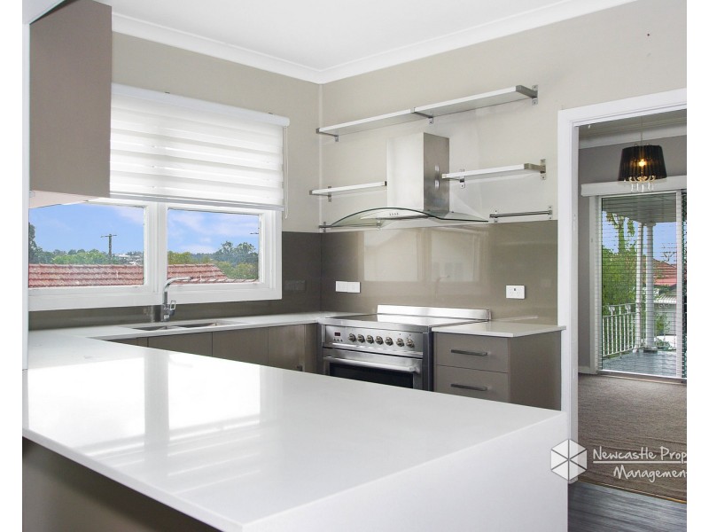 2 Pride Avenue, Lambton NSW 2299