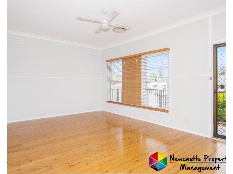 16 Lake Road, Wallsend NSW 2287