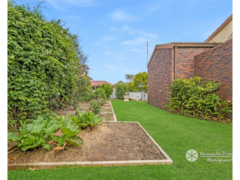 37 Bradman Street, Charlestown NSW 2290