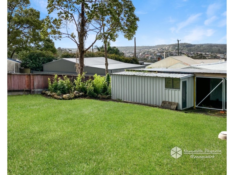 16 Lutana Street, Edgeworth NSW 2285