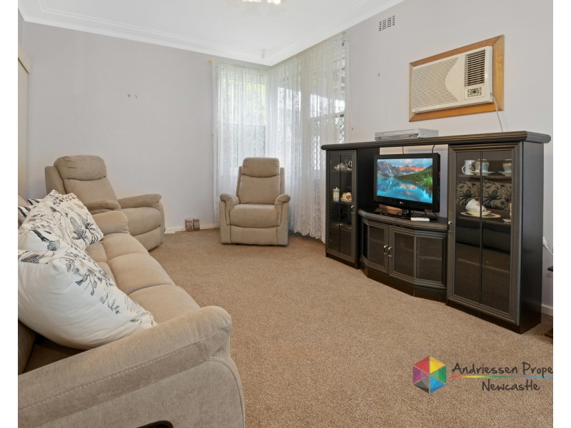 14 Lake Avenue, Cardiff South NSW 2285