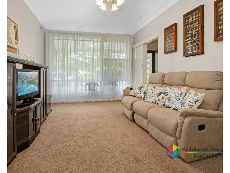 14 Lake Avenue, Cardiff South NSW 2285