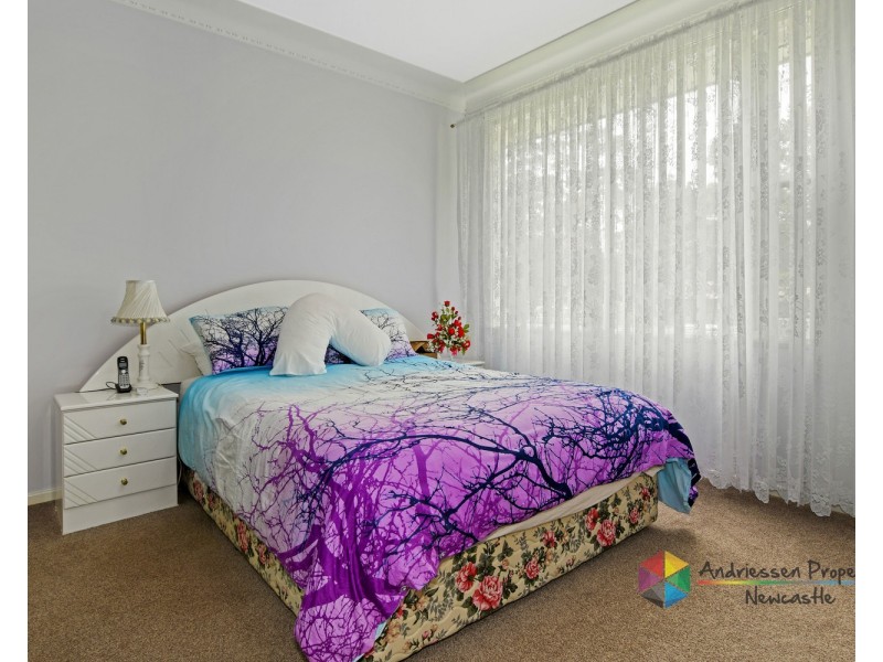 14 Lake Avenue, Cardiff South NSW 2285