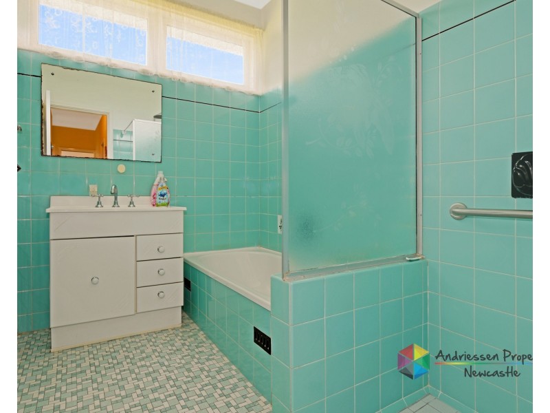 14 Lake Avenue, Cardiff South NSW 2285