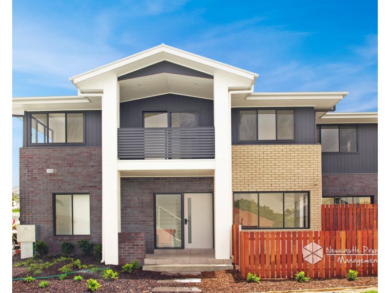 1/88 Carrington Street, Mayfield NSW 2304