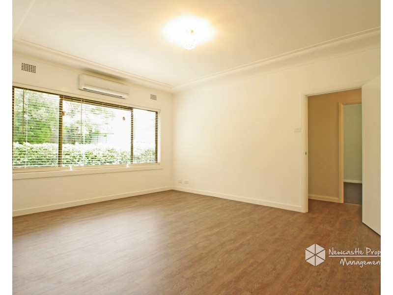 4 Ellerslie Road, Adamstown Heights NSW 2289