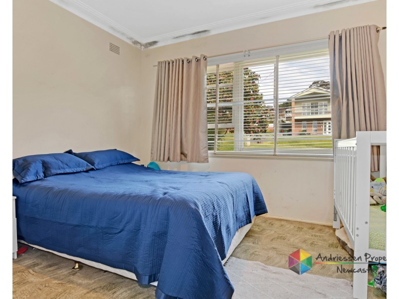 8 Roscoe Street, Kotara South NSW 2289