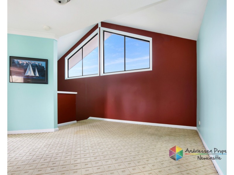 12 Cedar Street, Cardiff NSW 2285