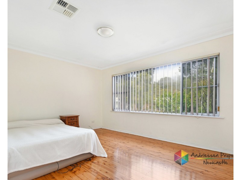 12 Cedar Street, Cardiff NSW 2285