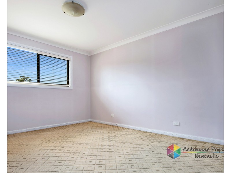 12 Cedar Street, Cardiff NSW 2285