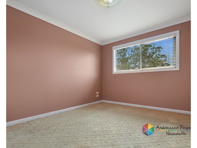 12 Cedar Street, Cardiff NSW 2285