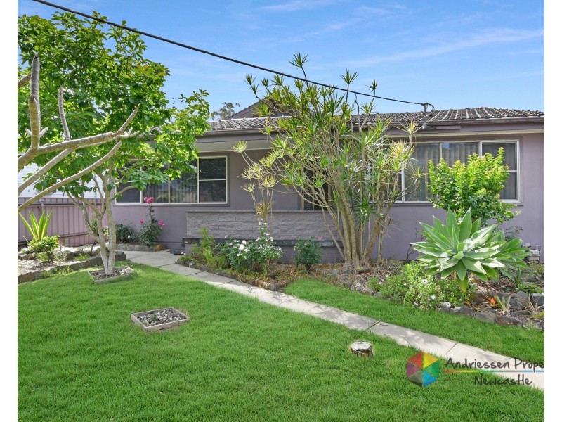 12 Cedar Street, Cardiff NSW 2285