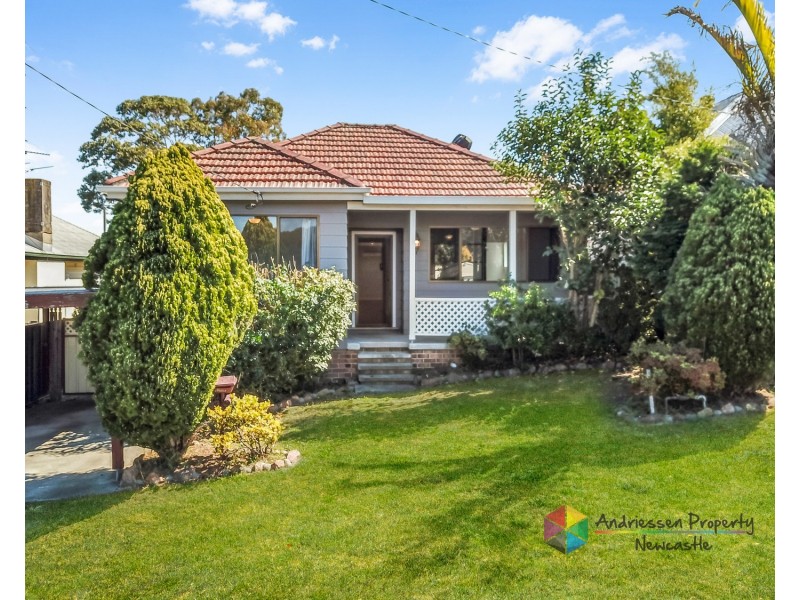 4 Illawarra Avenue, Cardiff NSW 2285