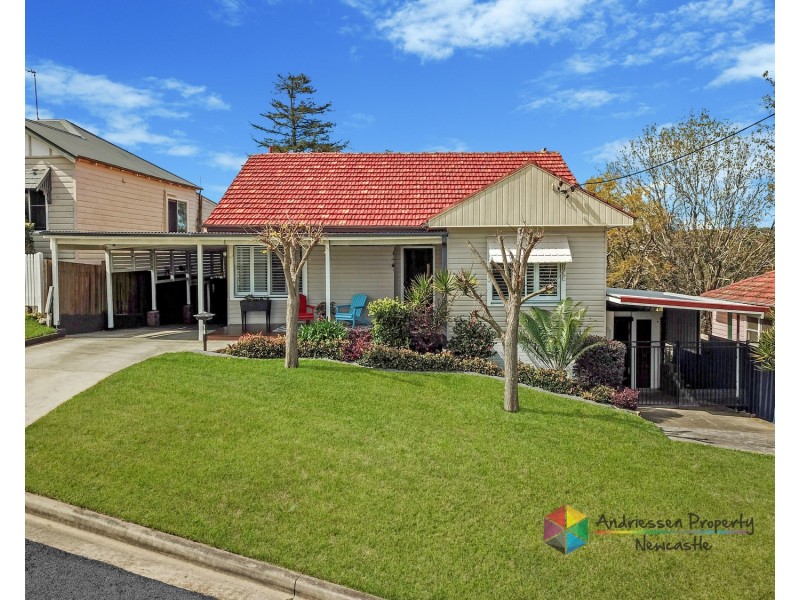 14 Curry Street, Cardiff NSW 2285