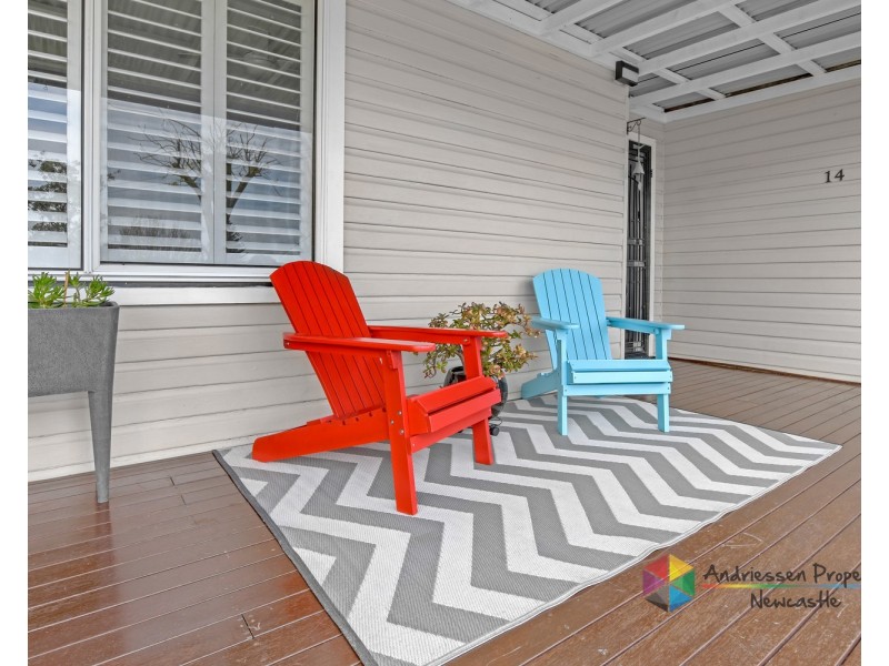 14 Curry Street, Cardiff NSW 2285