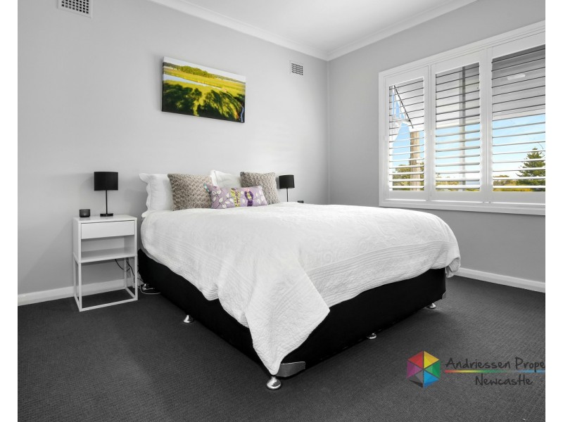 14 Curry Street, Cardiff NSW 2285