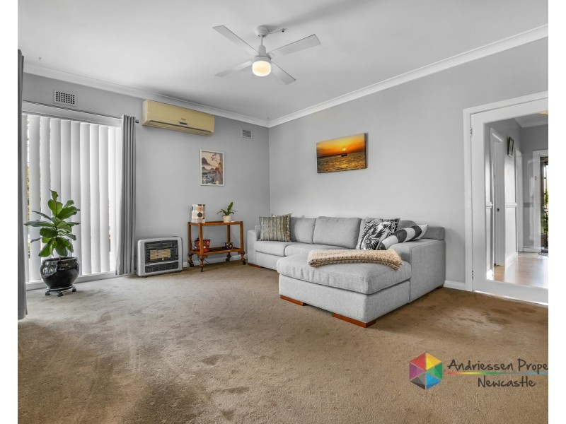 14 Curry Street, Cardiff NSW 2285