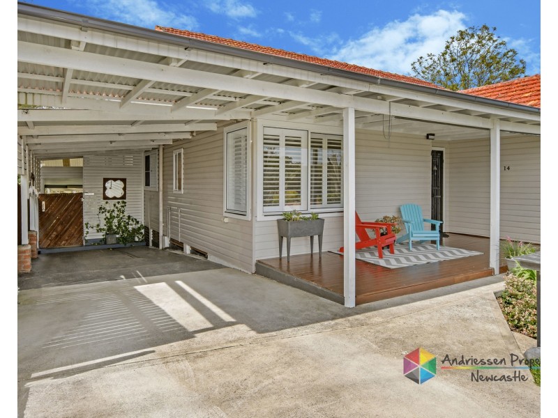 14 Curry Street, Cardiff NSW 2285