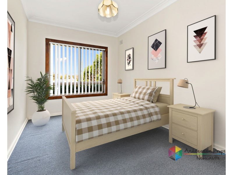 249 Warners Bay Road, Mount Hutton NSW 2290