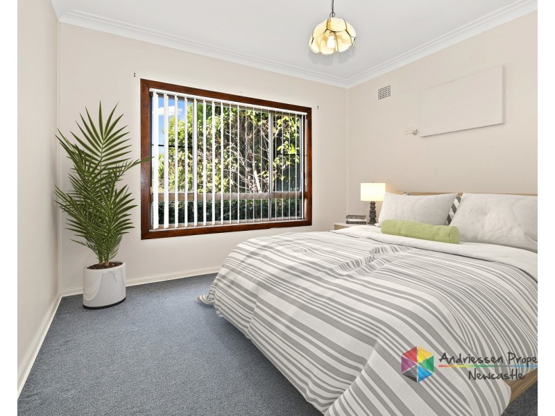 249 Warners Bay Road, Mount Hutton NSW 2290