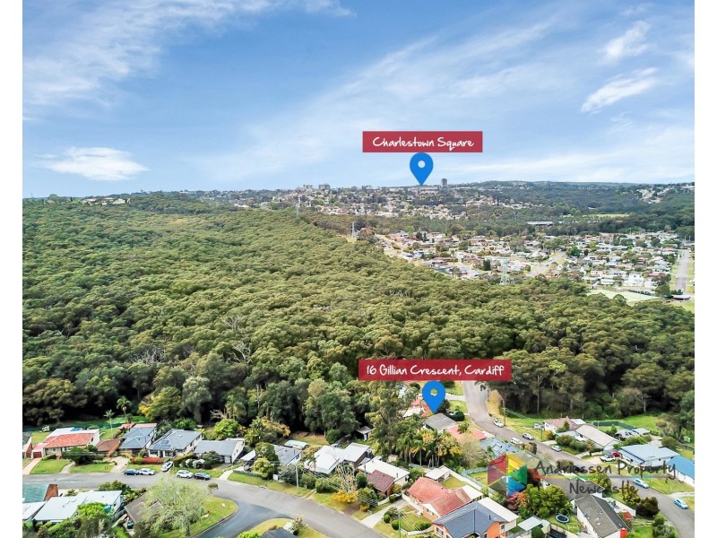 16  Gillian Crescent, Cardiff NSW 2285