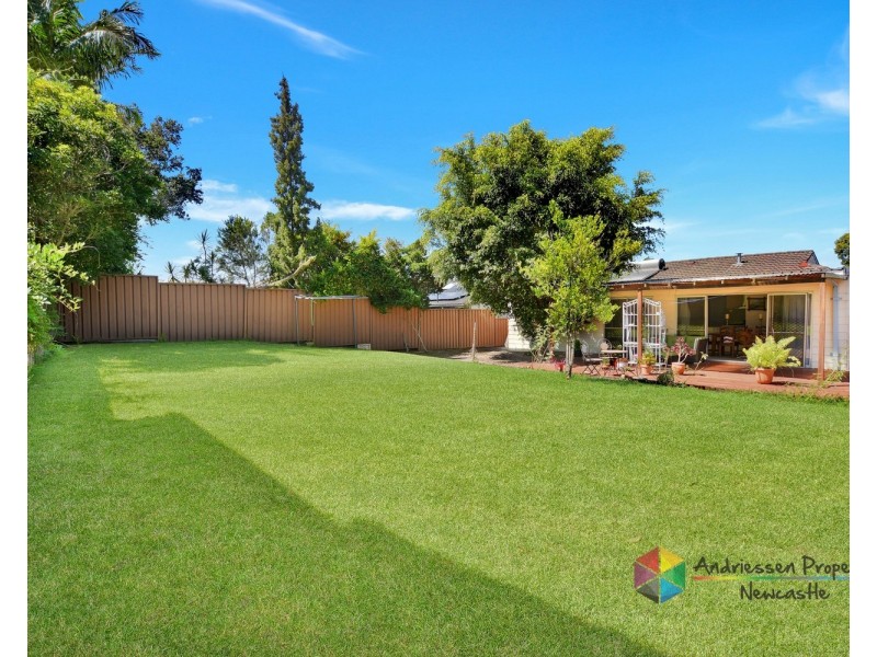 17 Valley View Crescent, Glendale NSW 2285