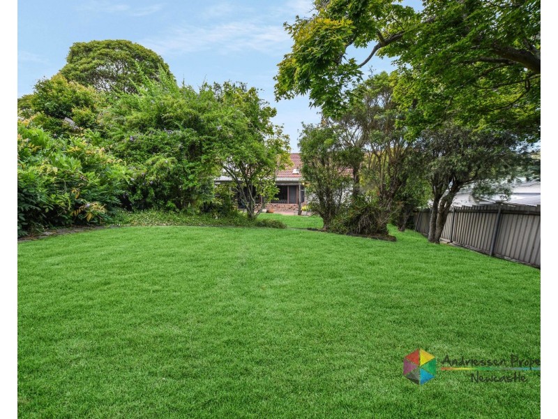 88 Joslin Street, Kotara NSW 2289