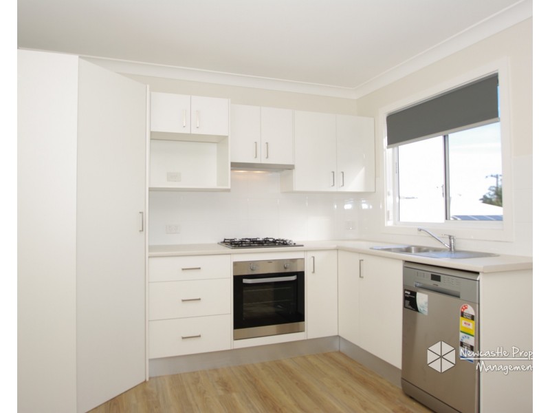 55A Fern Valley Road, Cardiff NSW 2285