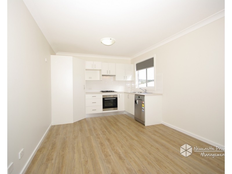 55A Fern Valley Road, Cardiff NSW 2285