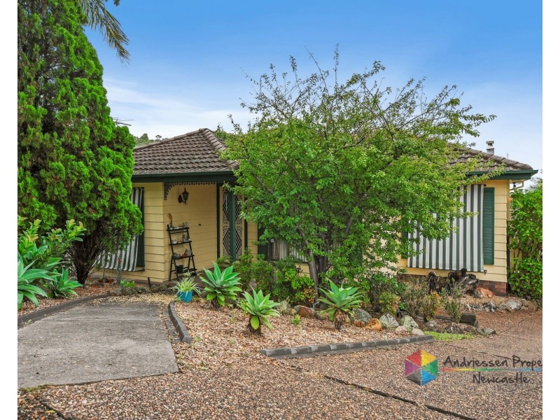 58 Alhambra Avenue, Macquarie Hills NSW 2285