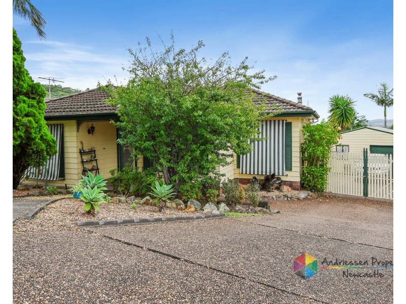 58 Alhambra Avenue, Macquarie Hills NSW 2285