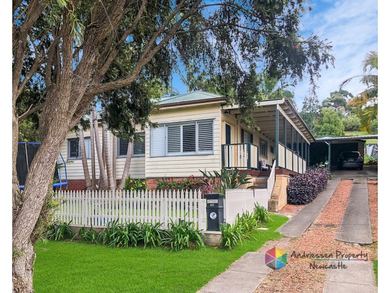 42 Gunambi Street, Wallsend NSW 2287