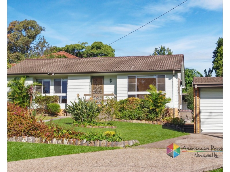 2 View Street, Cardiff NSW 2285