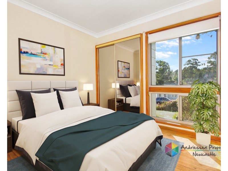 2 View Street, Cardiff NSW 2285