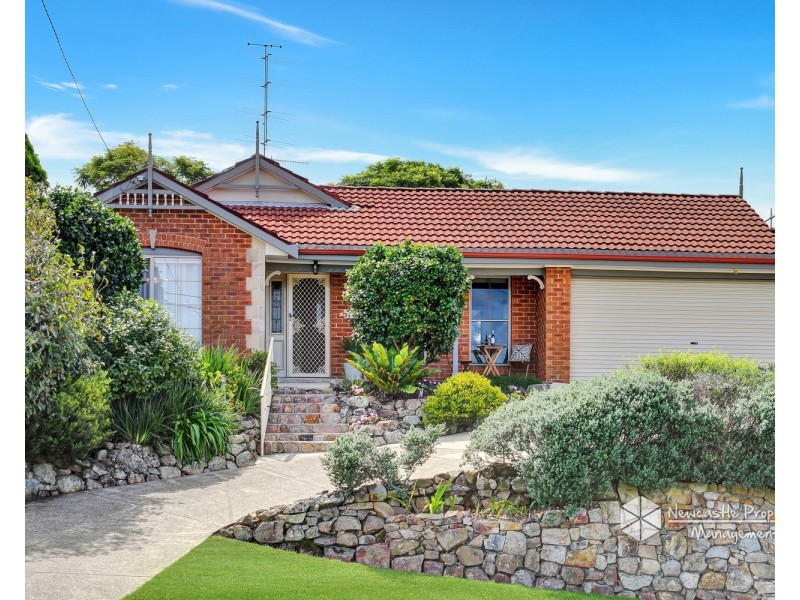 58 Lawson Road, Macquarie Hills NSW 2285