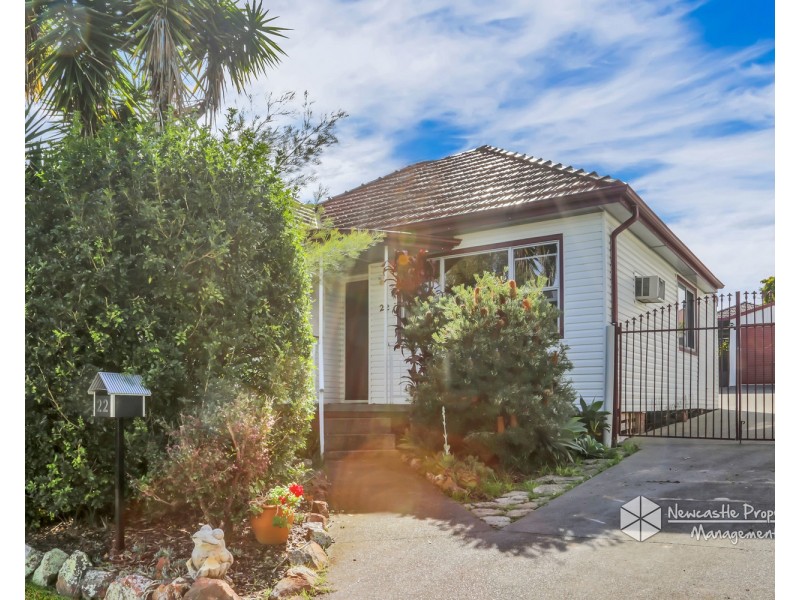 22 Delauret Square, Waratah West NSW 2298