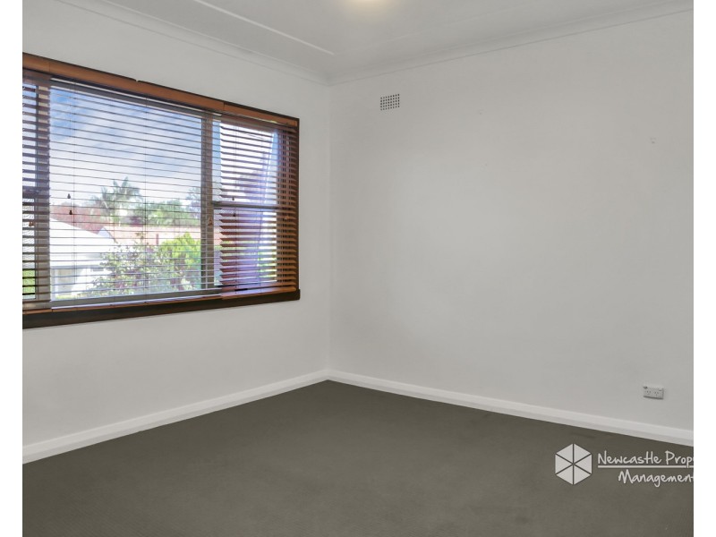 22 Delauret Square, Waratah West NSW 2298