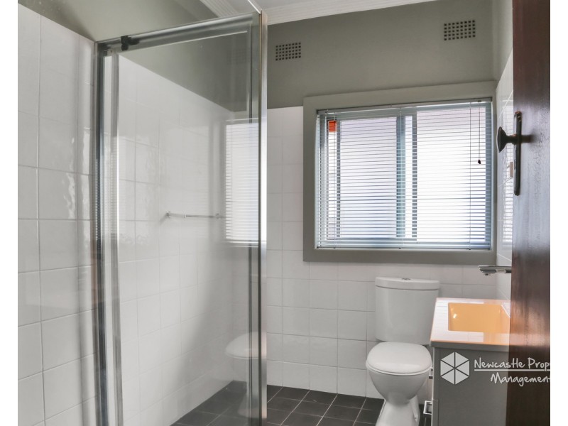22 Delauret Square, Waratah West NSW 2298