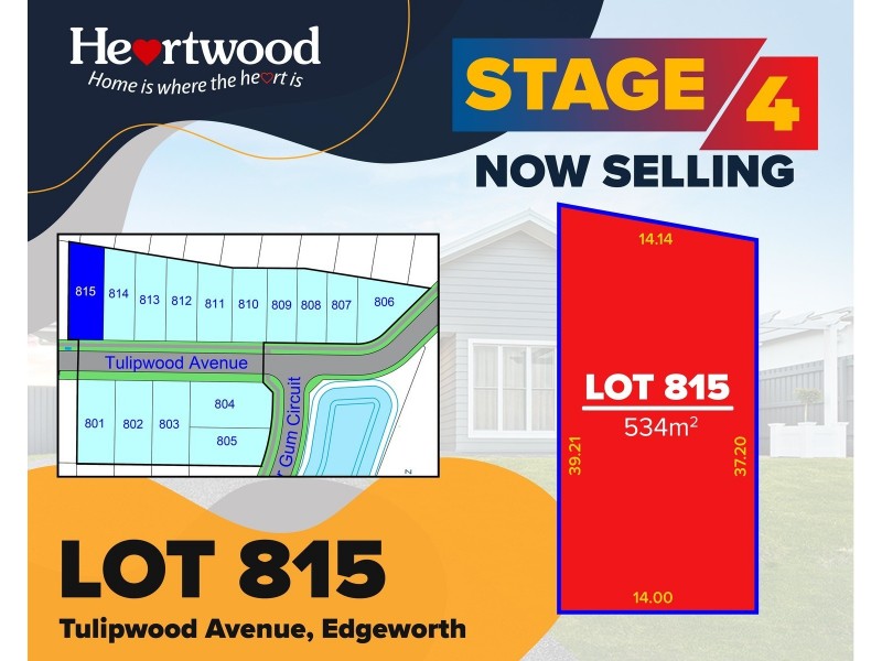 19 Tulipwood Avenue, Edgeworth NSW 2285