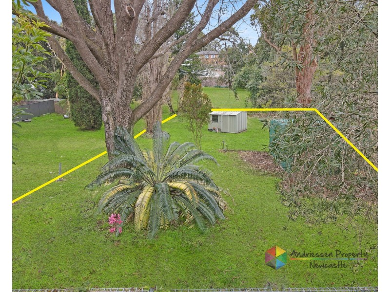 6 Tirriki Street, Charlestown NSW 2290