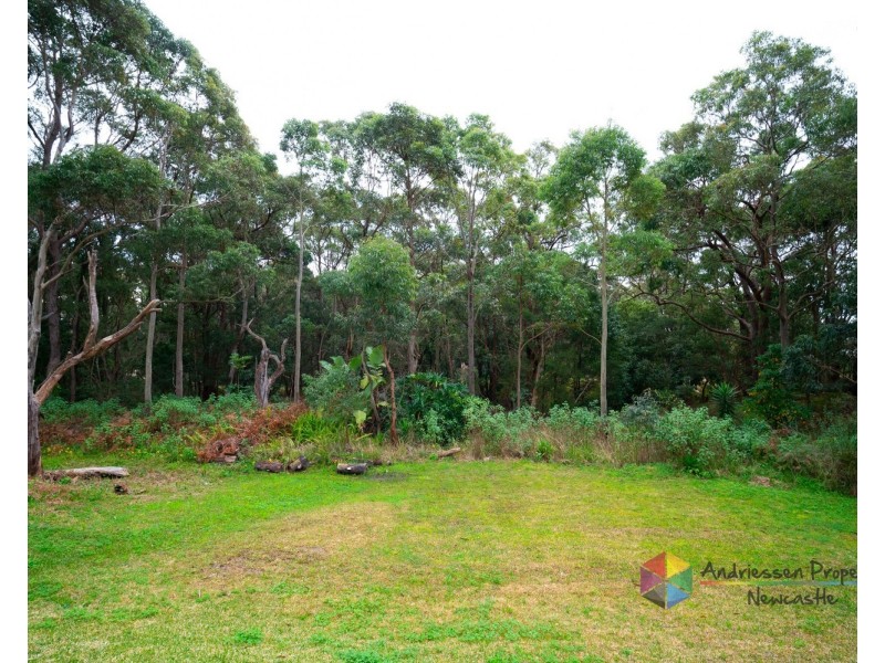 4 Delaware Drive, Macquarie Hills NSW 2285