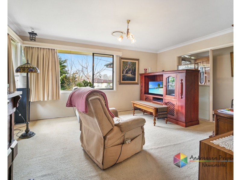 20 Granada Avenue, Macquarie Hills NSW 2285