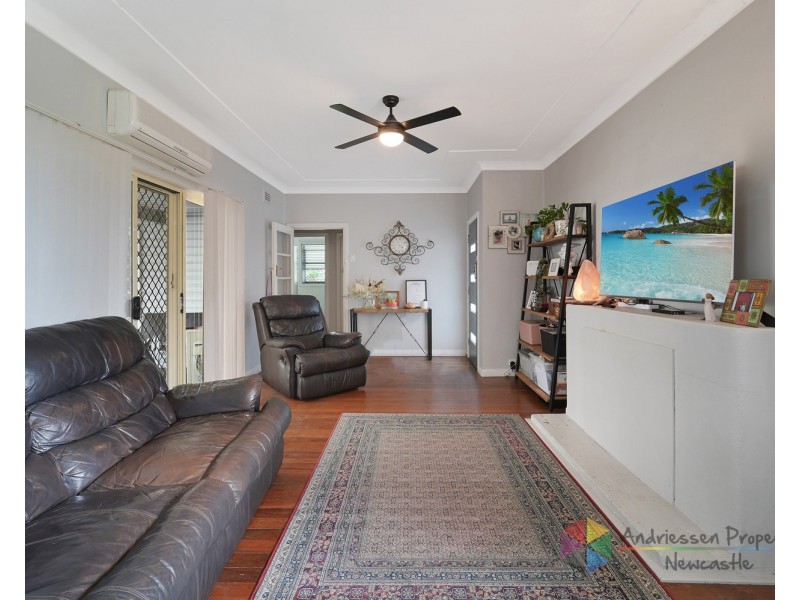 55 Lowry Street, Cardiff NSW 2285