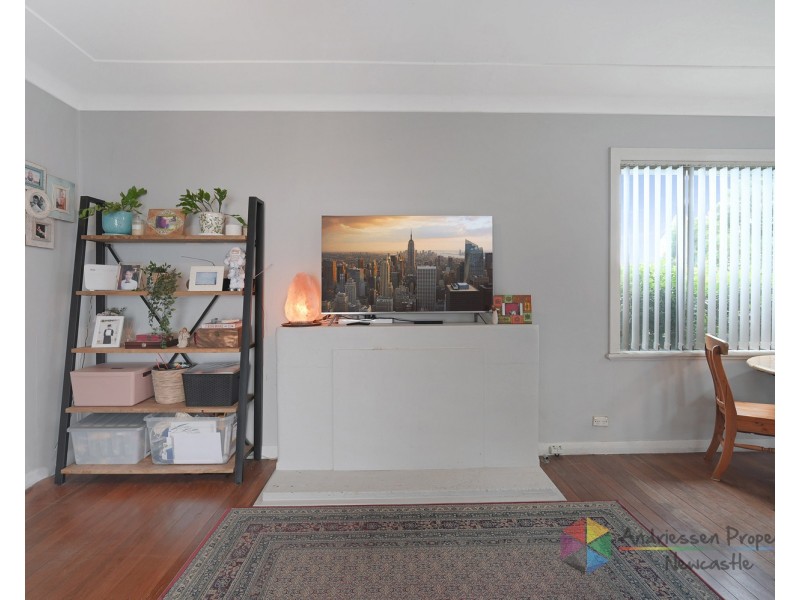 55 Lowry Street, Cardiff NSW 2285