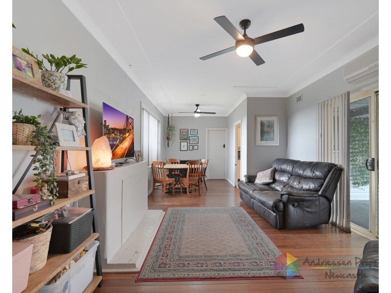 55 Lowry Street, Cardiff NSW 2285