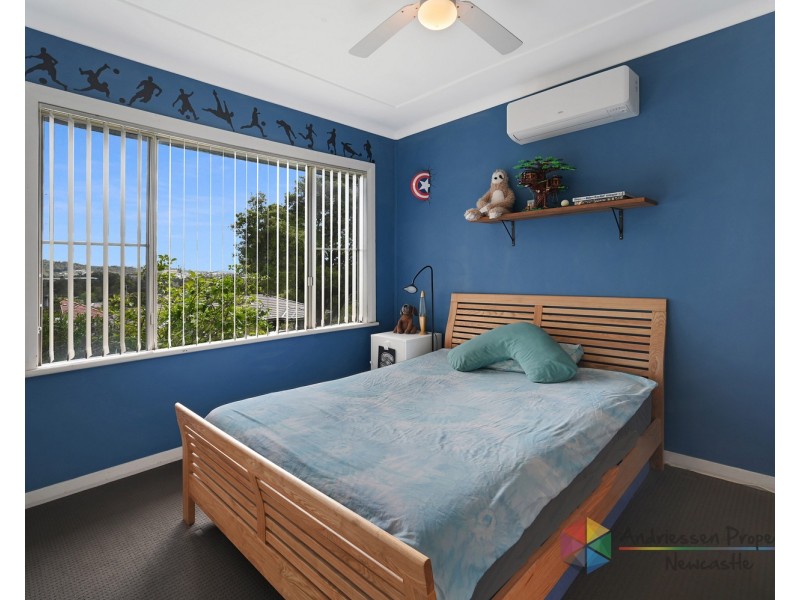 55 Lowry Street, Cardiff NSW 2285