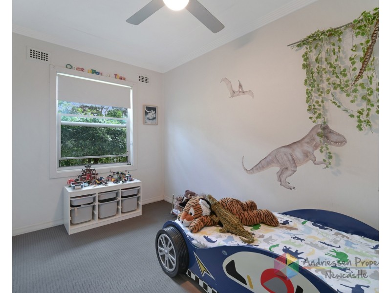 55 Lowry Street, Cardiff NSW 2285